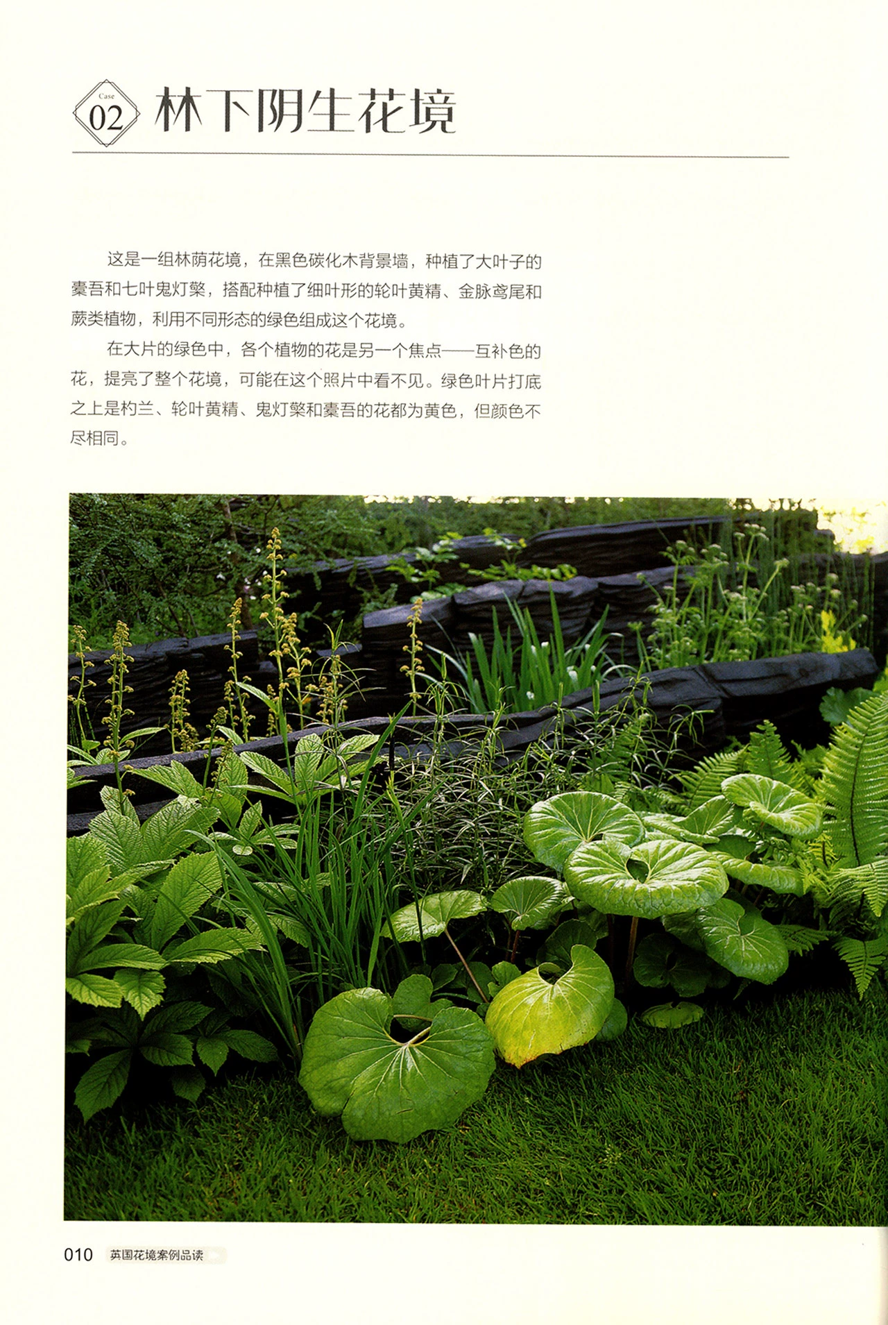 植木的法则plus剧情_植木的法则游戏_植木法则gba