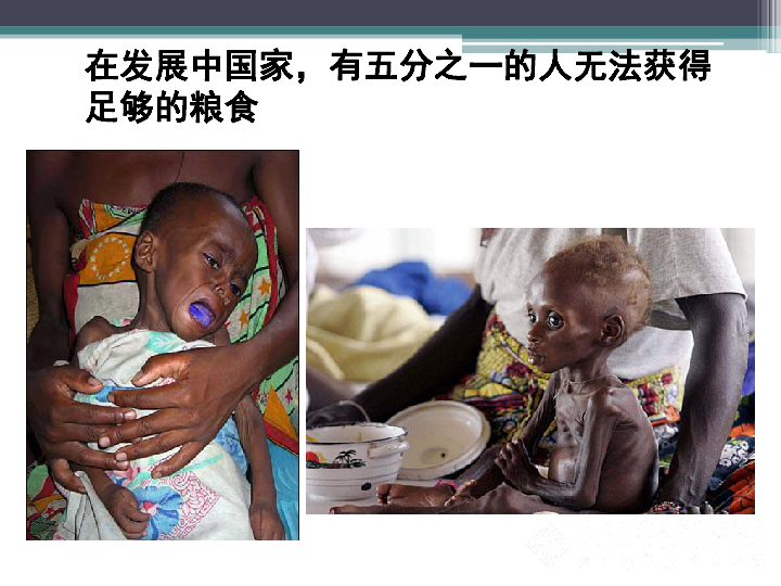 饥饿游戏嘲笑鸟叫声_饥饿游戏3 嘲笑鸟 21险象环生_饥饿游戏嘲笑鸟的含义