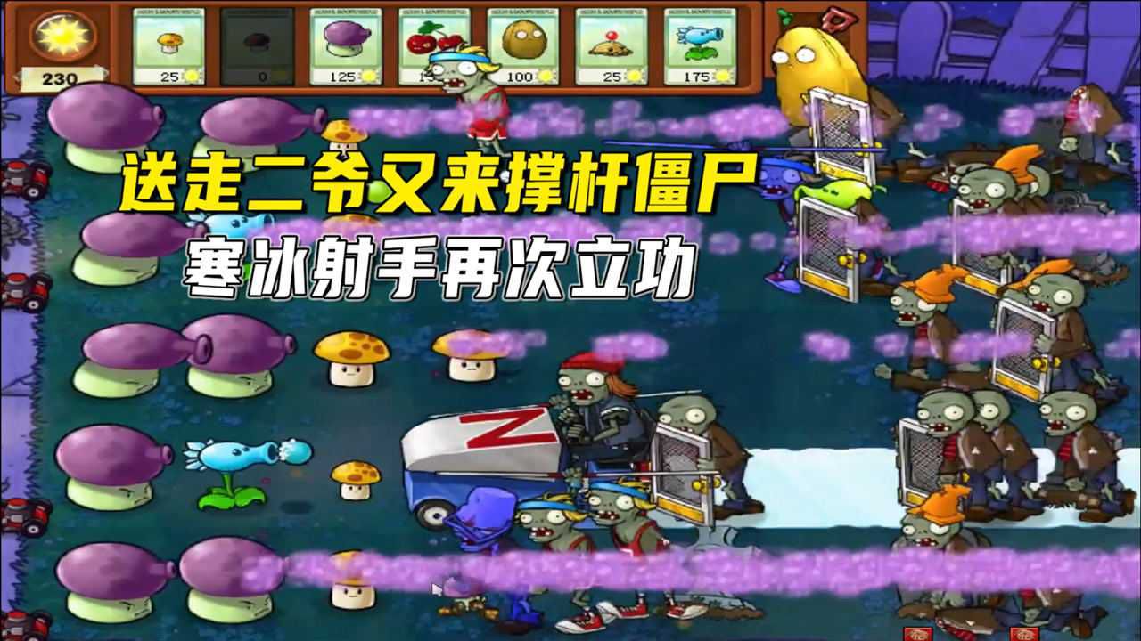 冰雪植物战僵尸：豌豆射手远程攻击