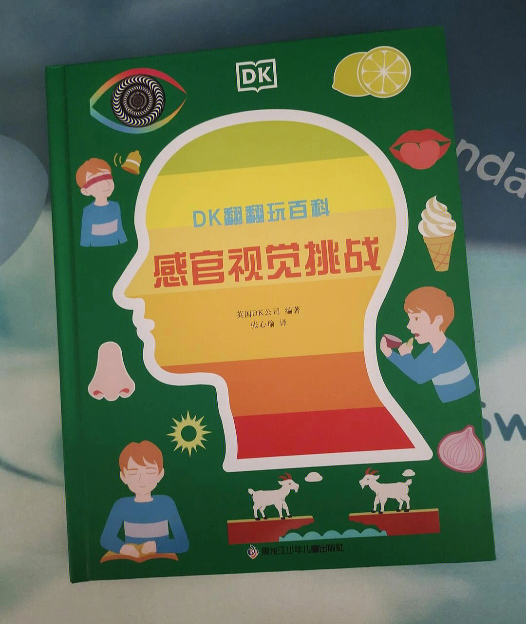 感官游戏深度解析_幼儿园的感官游戏_幼儿感官游戏