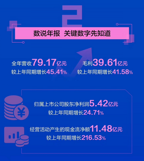 蓝港 年报下载