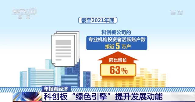蓝港 年报下载