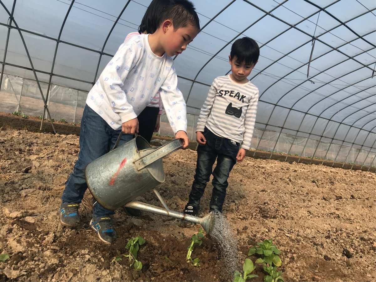 4399开心农场：乐趣无限