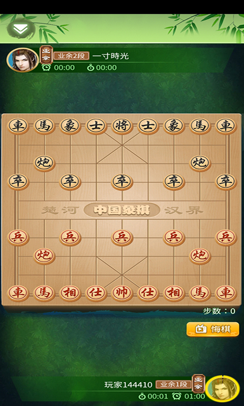 国际象棋大师：智慧与策略