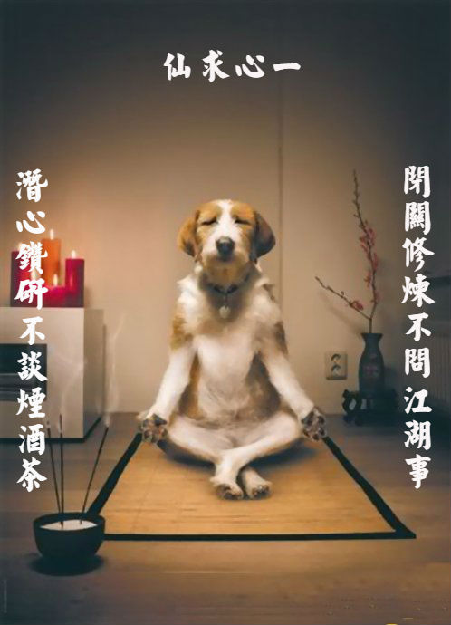 天下奇侠小说_奇侠天下 关闭_天下奇侠