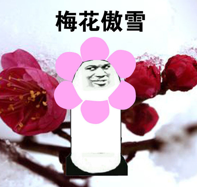 扑克酒令游戏_盐城市市政府办公室副秘书长_办公室 类似行酒令的游戏