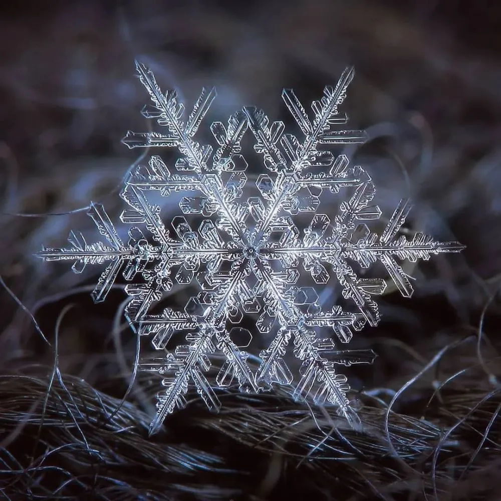 照片秀雪花，让你的照片变成冬日童话