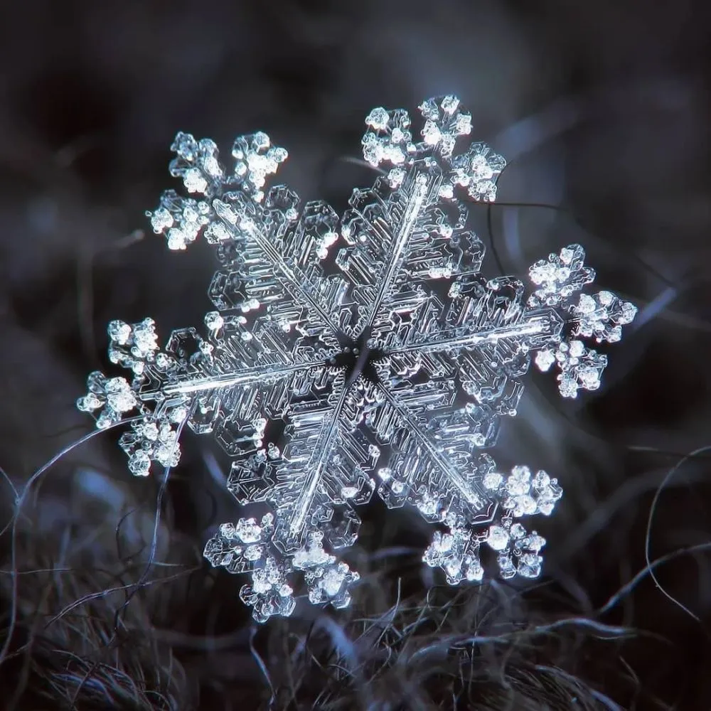 qq游戏照片秀怎么弄_qq游戏照片秀闪光_qq游戏照片秀雪花