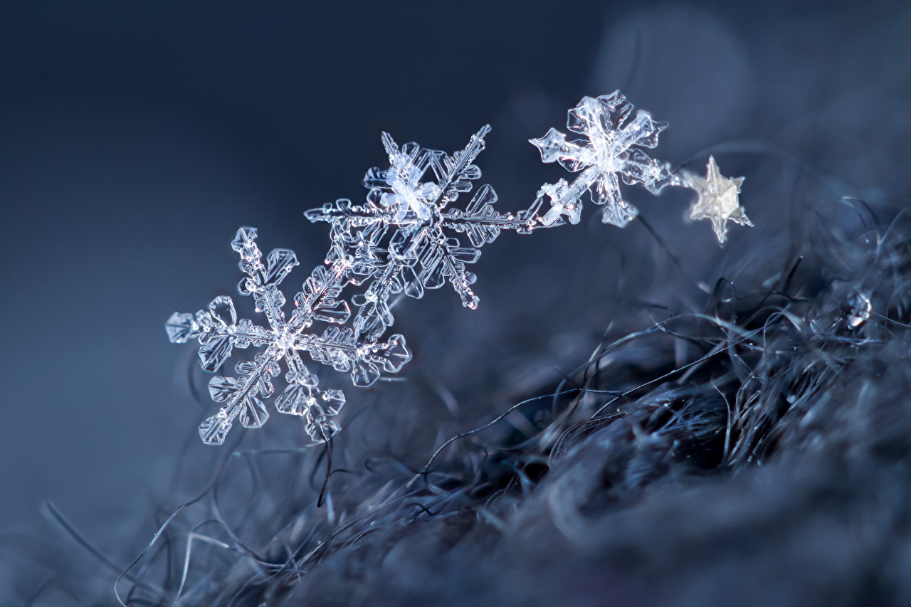 qq游戏照片秀雪花_qq游戏照片秀怎么弄_qq游戏照片秀闪光