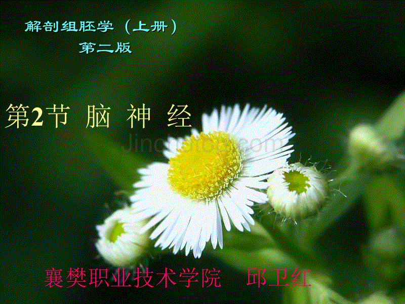 左右脑测试素材_左右脑测试游戏_测左右脑测试