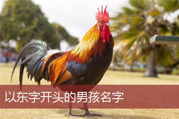 搞笑名字游戏id_搞笑名字游戏名_游戏搞笑名字