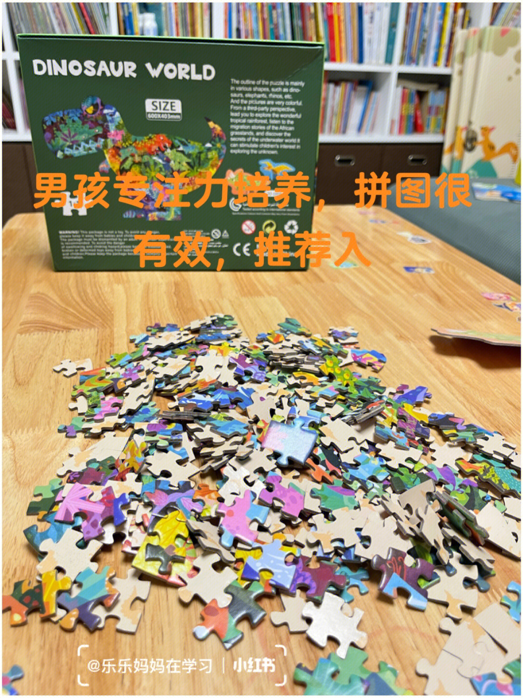 培养儿童专注力的游戏_培养专注力的小游戏_培养孩子专注力的游戏