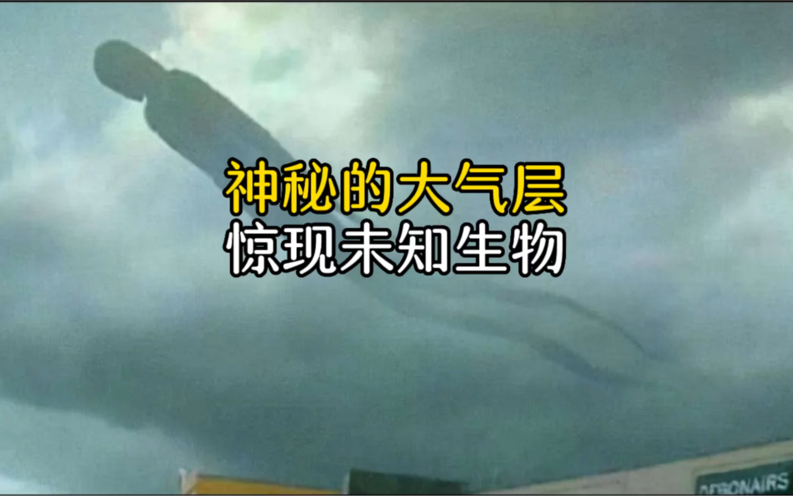 layers主题引擎_layers gate_layers主题