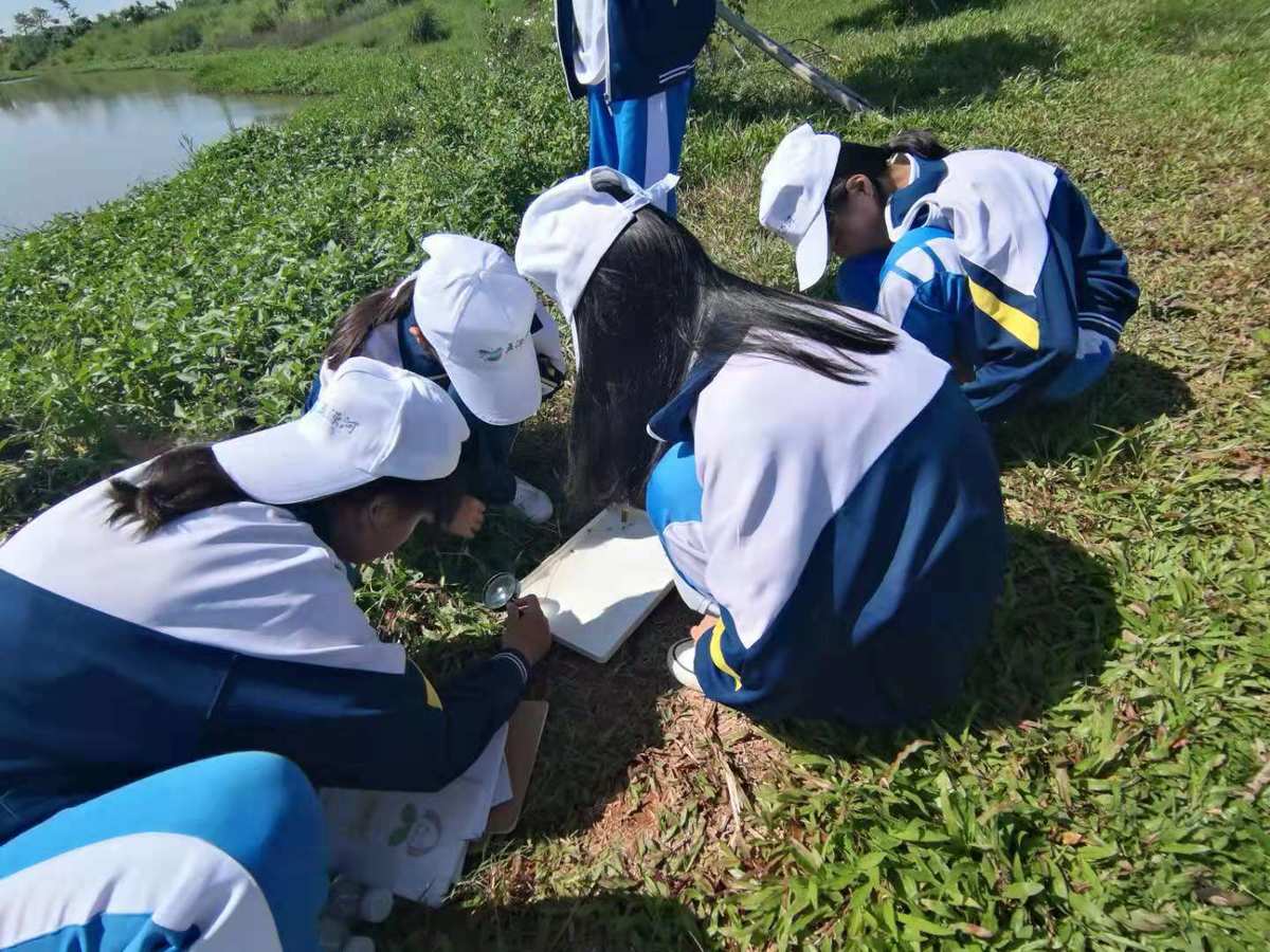 幼儿园科学游戏：水中艺术家