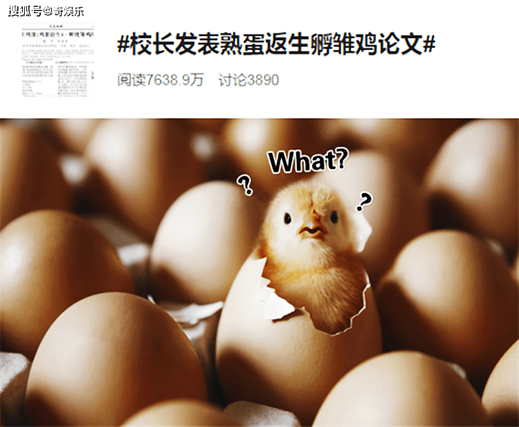 奇妙的养鸡罐头游戏！