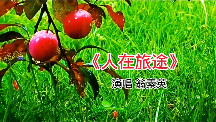 旅途歌曲原唱_旅途歌曲歌词_旅途歌曲