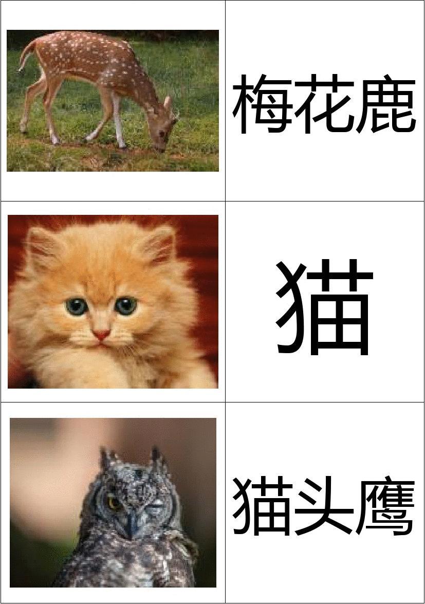 识字游戏app_识字游戏app免费_识字游戏app那个好