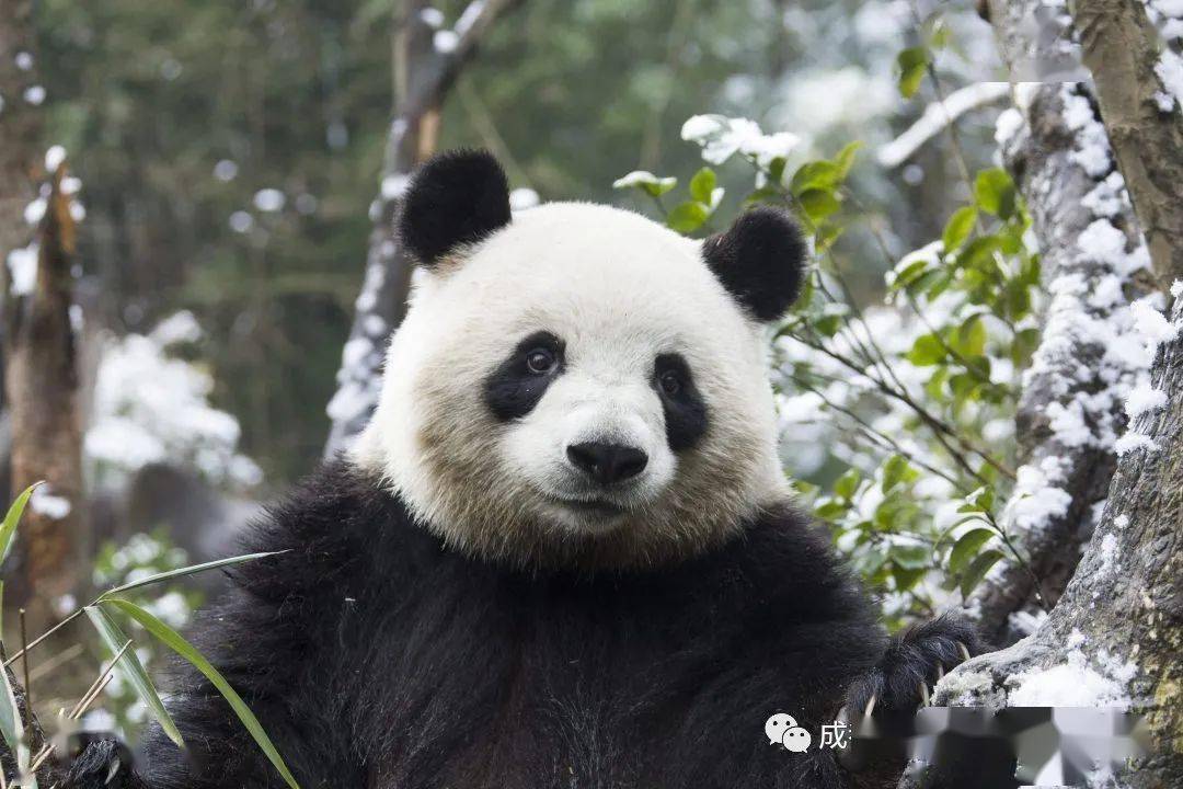 小学一年级语文练习，准备好了吗？