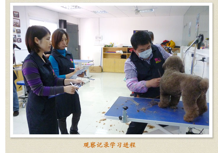 学宠美，多少钱？