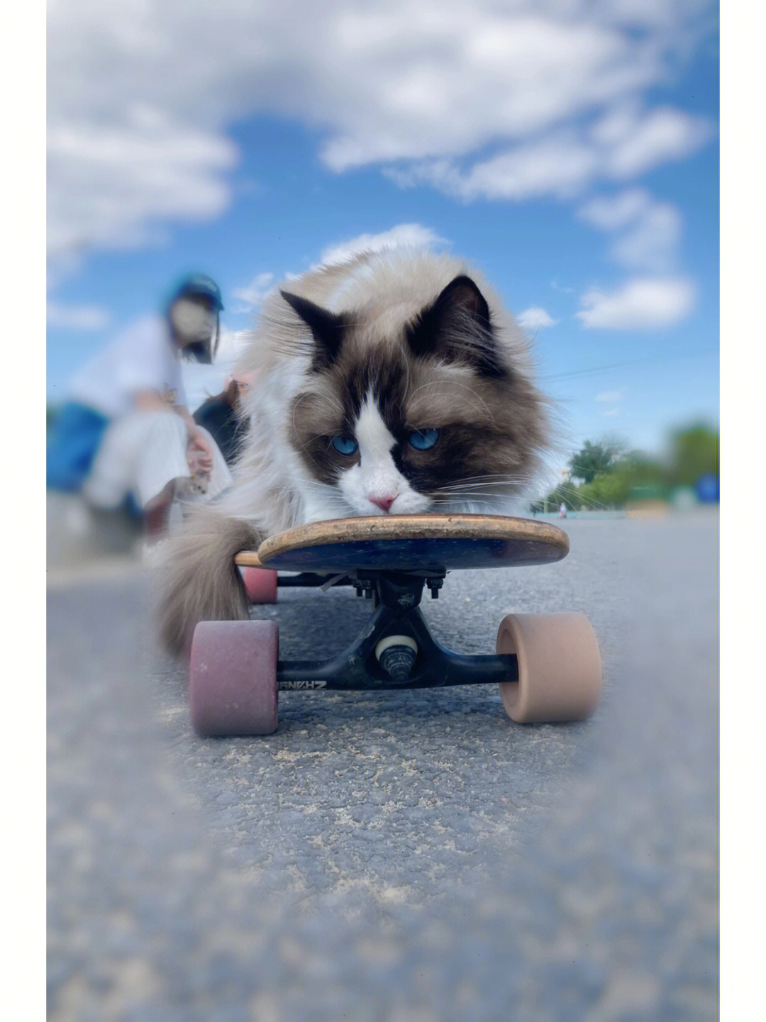 光溜溜 gif