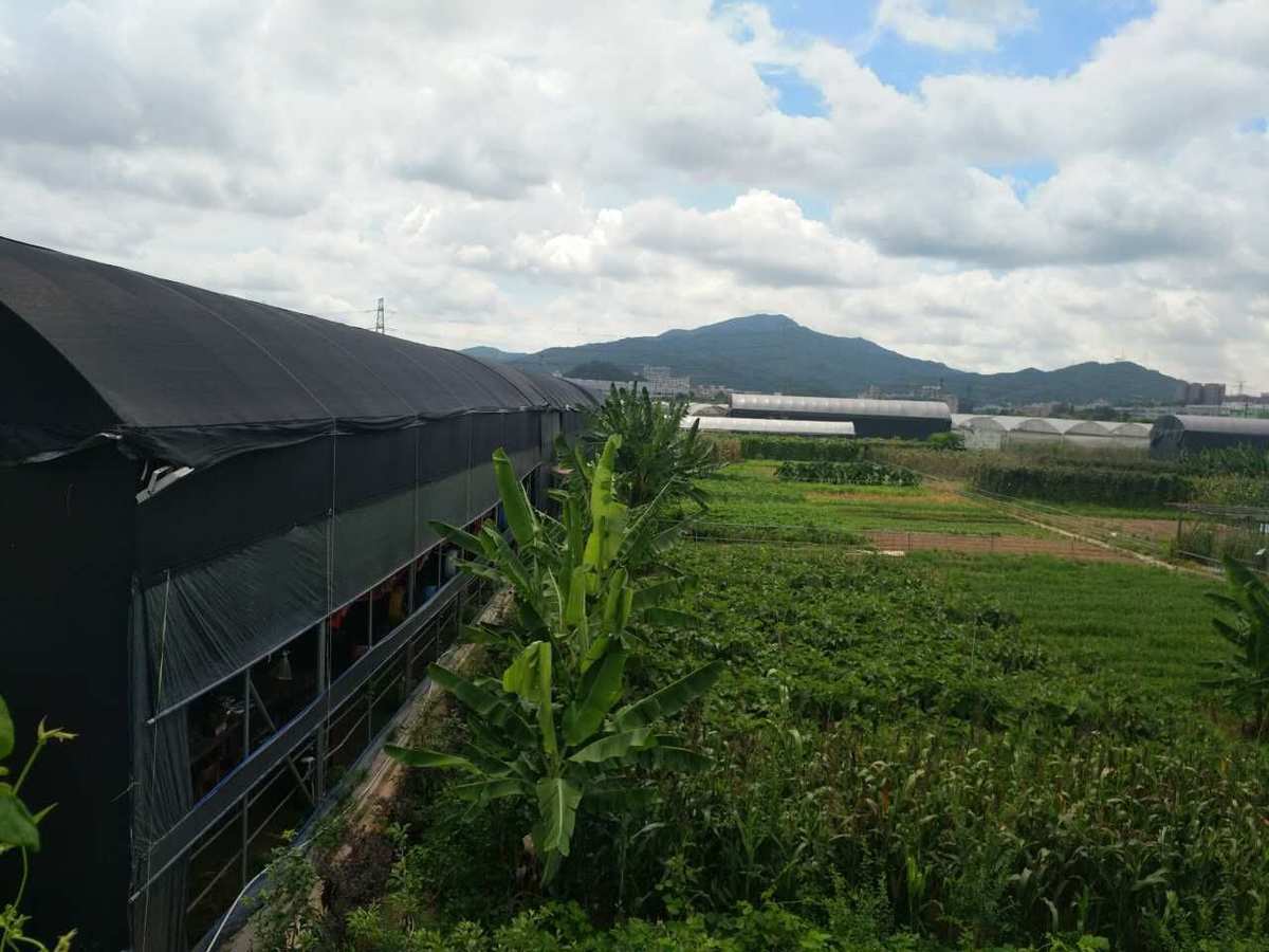 农场开心农场游戏_小游戏开心农场_qq开心农场游戏