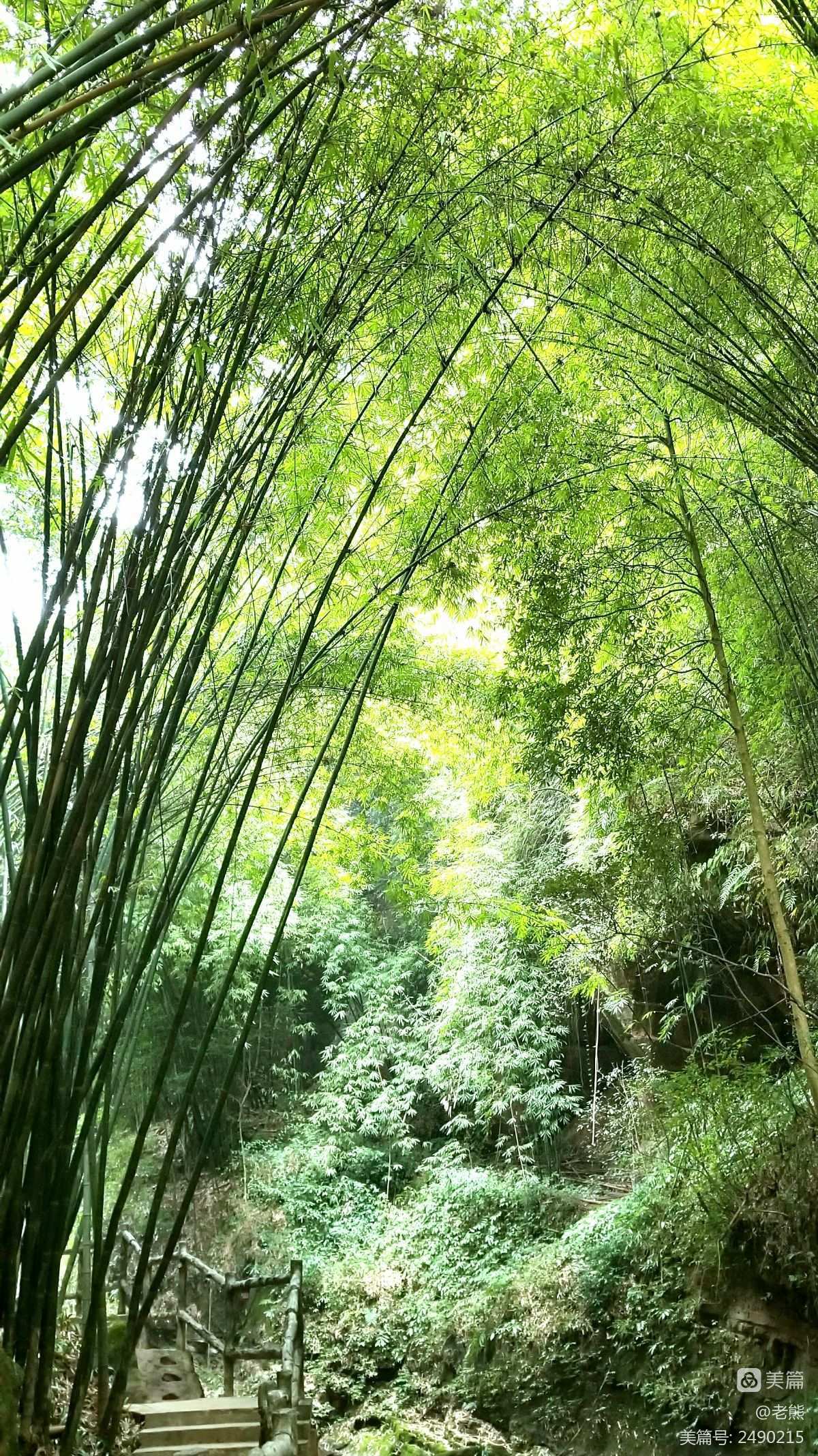 原神老石位置_老石神村_原神老石的作用