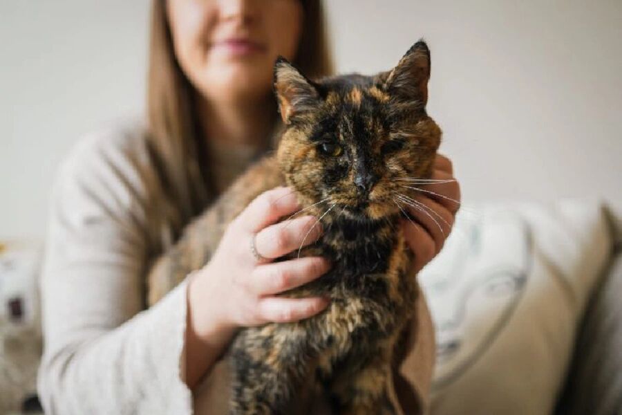 记录世界记录你快猫官网_我想看猫世界_猫咪世界记录你的生活官网