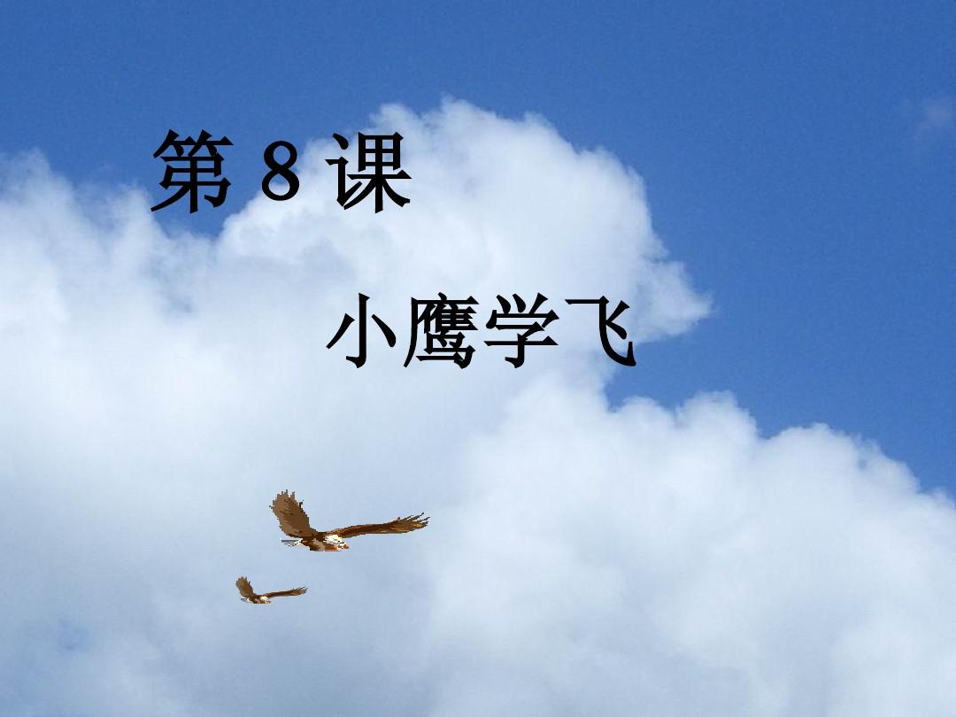 阳光微风，毛头小鹰在青草间翩翩起舞