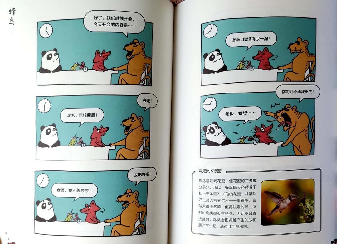 七哈