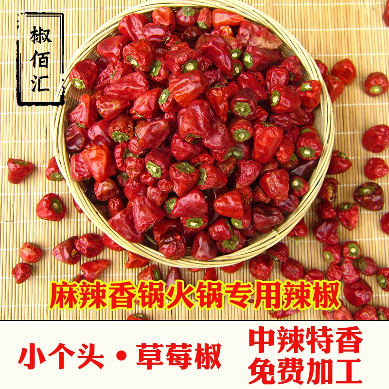 丙子椒林剑百度百科_丙子椒林剑是中国的吗_丙子椒林