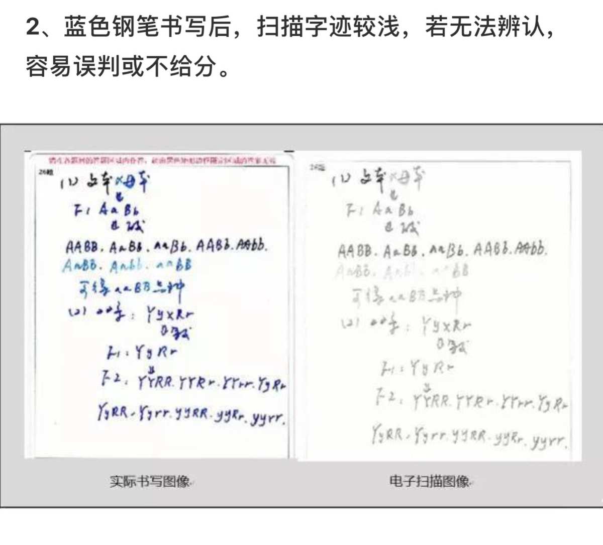 温州云阅卷：考试成绩秒变开挂！