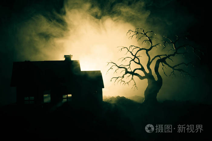 迷雾岛游戏攻略_迷雾岛攻略_迷雾攻略解密