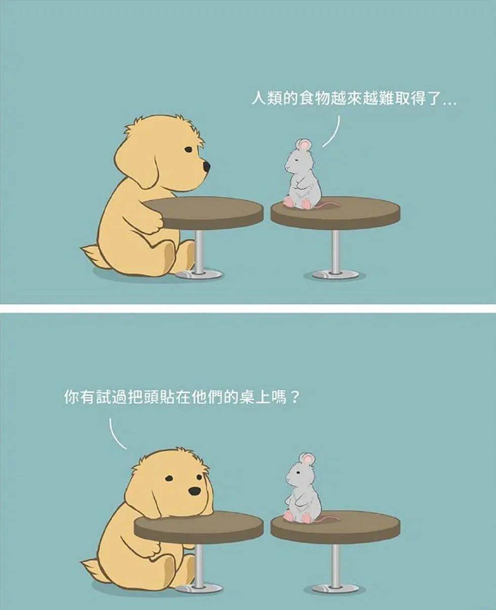 伙伴家app最新版下载_漫画之家app软件下载_下载中微家校通的app