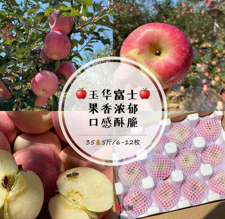 ios12尝鲜派_苹果尝鲜派_苹果ios15尝鲜派