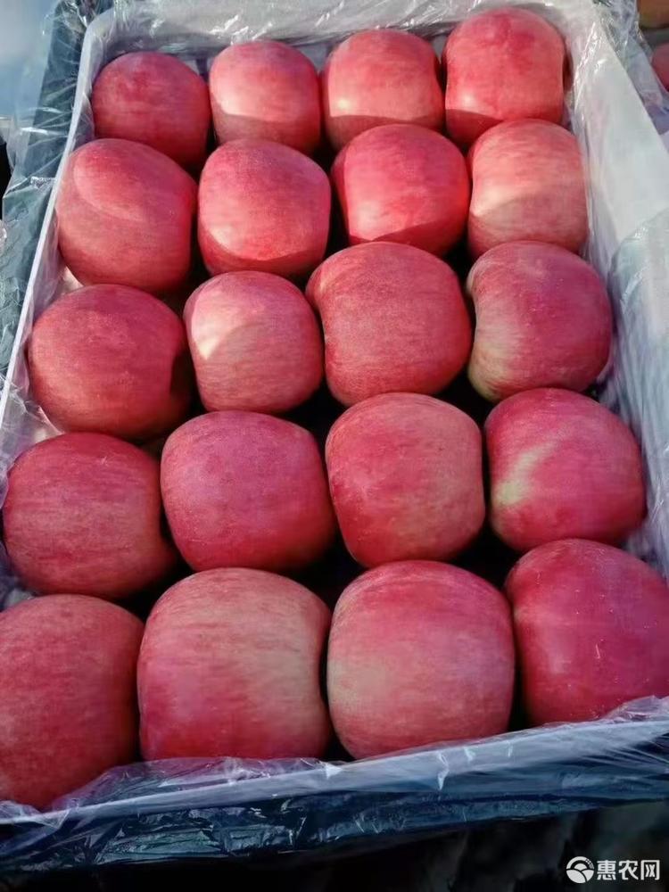 苹果尝鲜派_苹果ios15尝鲜派_ios12尝鲜派