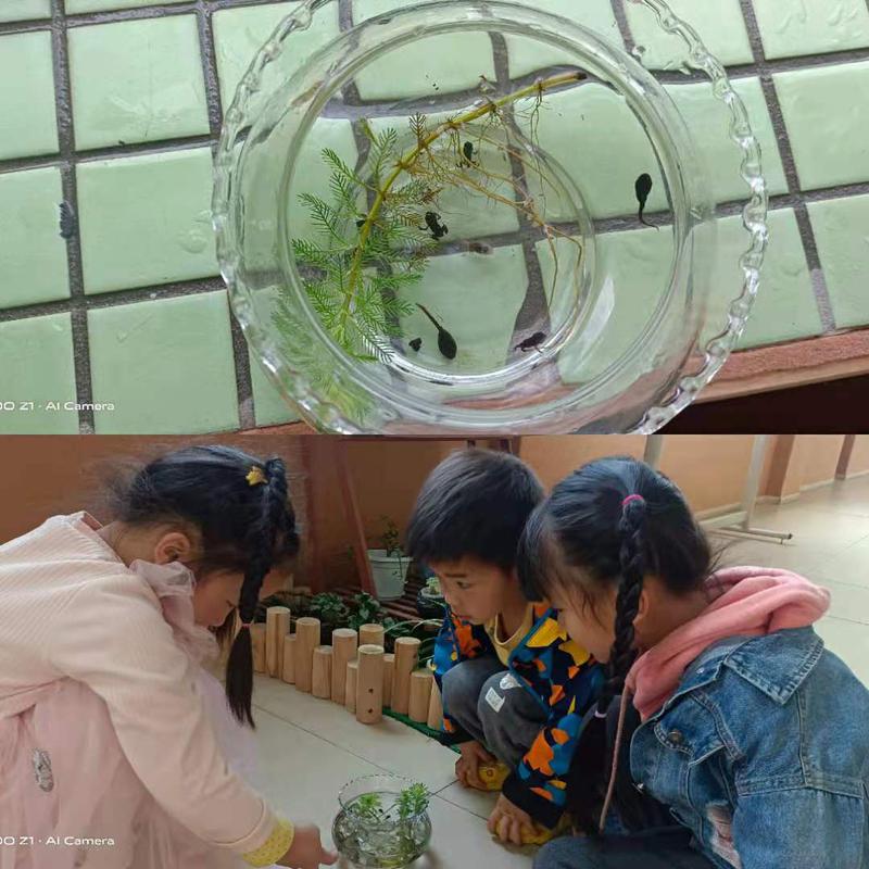 蝌蚪小蝌蚪_蝌蚪窝app官网_小蝌蚪app