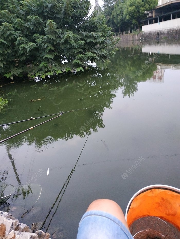 钓鱼之王：湖面上的温暖阳光