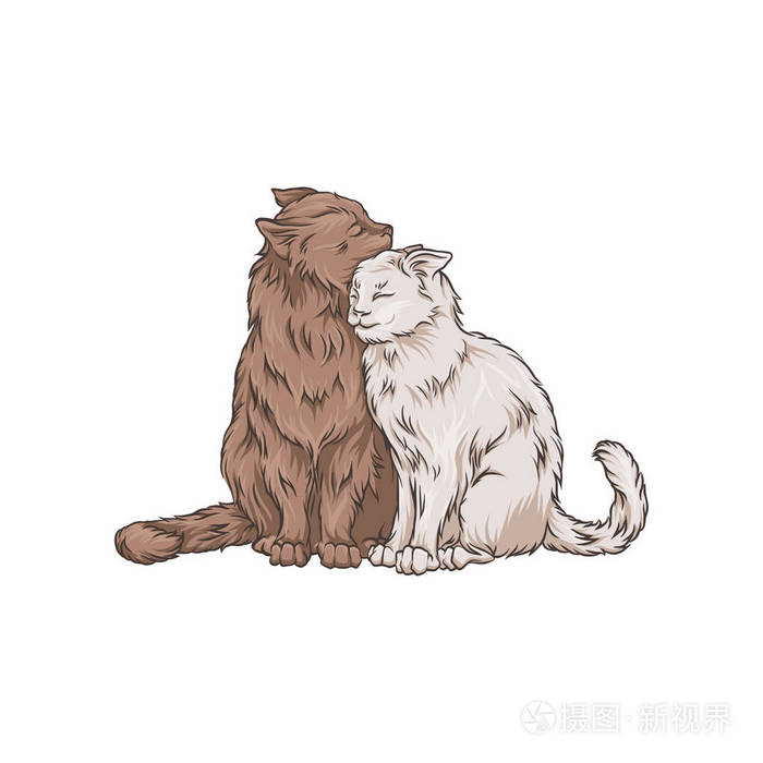 微微小说_小说短篇_小说阅读网穿越小说