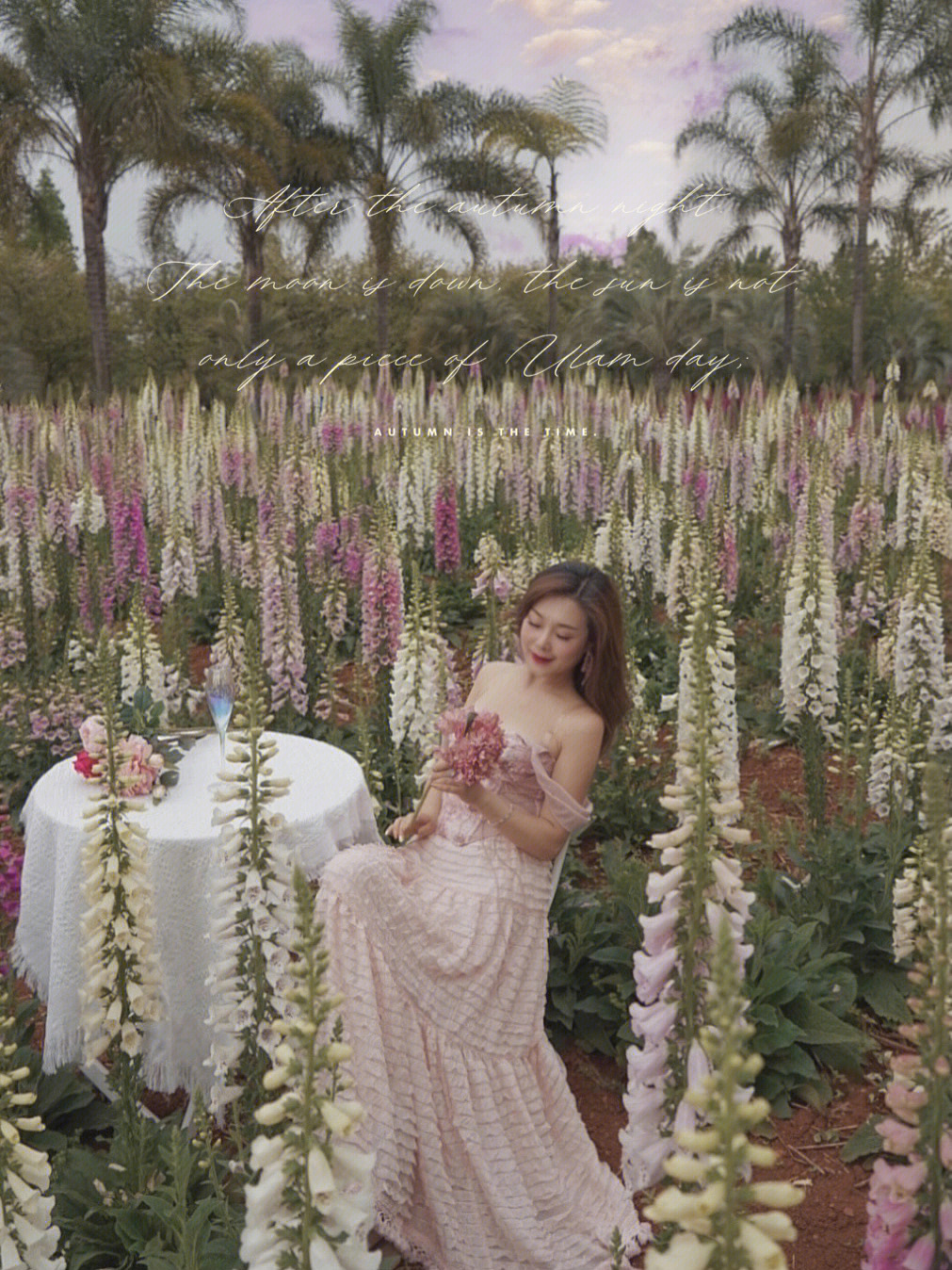 花仙子的小游戏_花仙子游戏_仙子游戏大全
