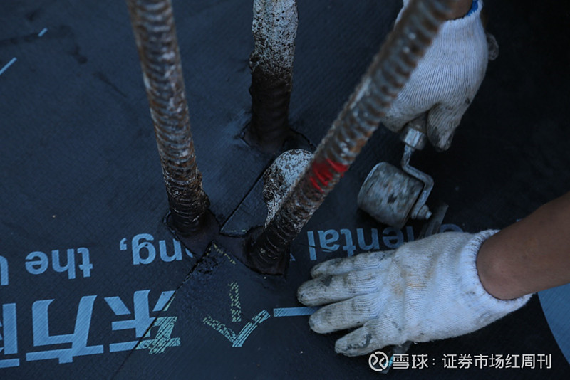 地精修补匠冠名_修补匠什么意思_地精修补匠