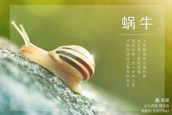蜗牛最强兵种_最强蜗牛国家特性哪个好_蜗牛强吗