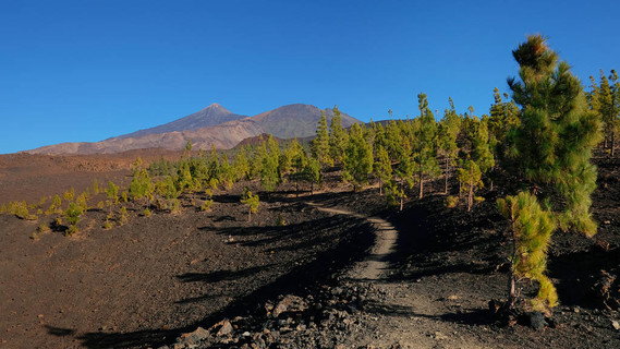 火山隐藏茫茫大地，迷你世界揭秘寻找之旅