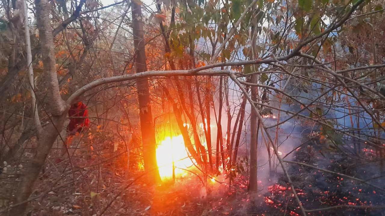 我想看迷你世界火山_迷你世界火山在哪里找_火山迷你世界的火山在哪里