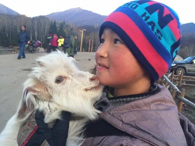 山羊模拟器惊艳收获日，我自豪不已