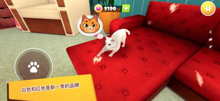 猫咪大战争台服官网_cfa猫咪官网_猫咪官网