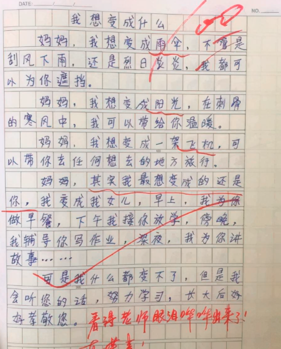 每个人都有妈妈，她们是生命的源泉