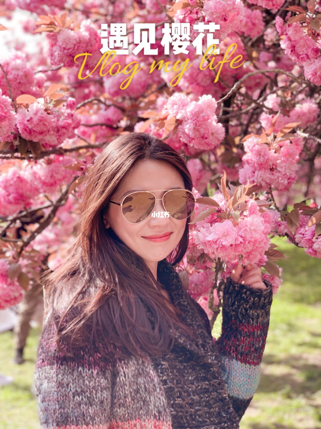 花瓣轻游是干嘛用的_花瓣轻游_花瓣轻游为什么自动安装了