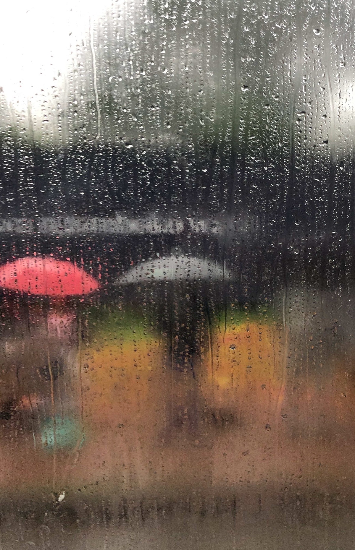 那朵红莲被那繁密的雨点_雨点_小小雨点伴奏