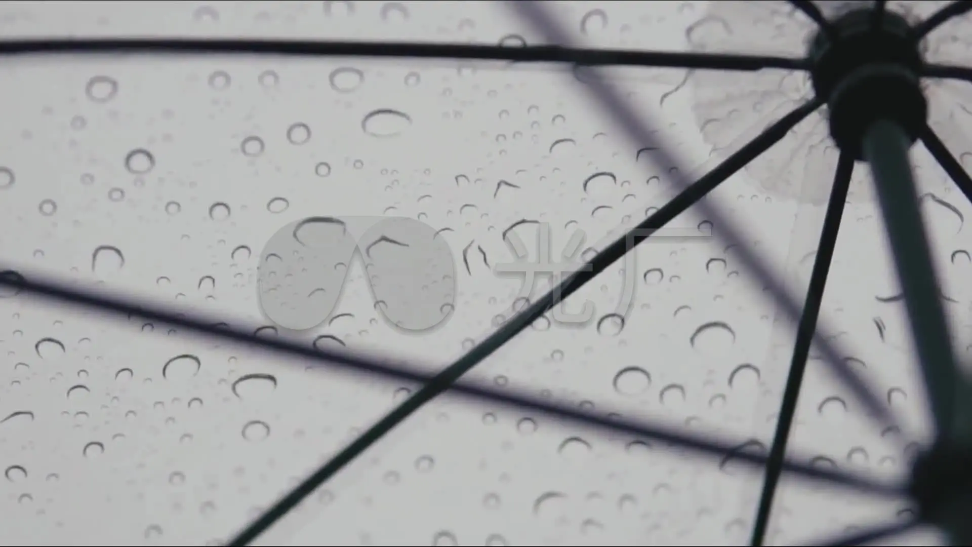小小雨点伴奏_雨点_那朵红莲被那繁密的雨点