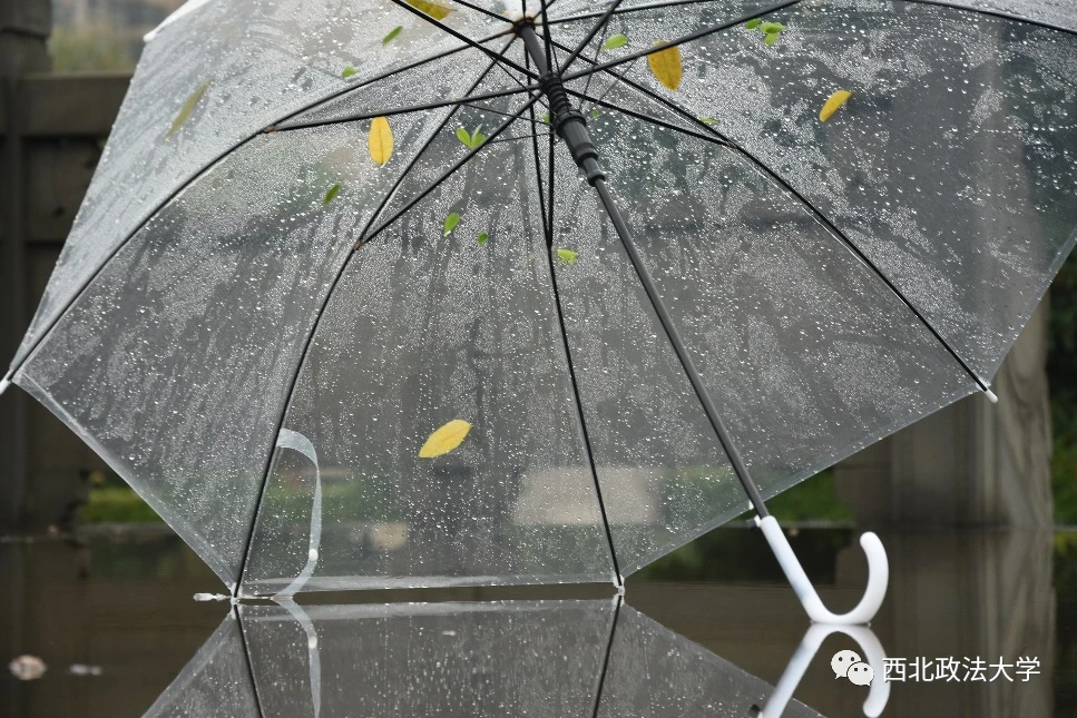 小小雨点伴奏_雨点_那朵红莲被那繁密的雨点